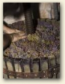 » Clicca per ingrandire -> » Clicca per ingrandire ->