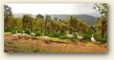 » Clicca per ingrandire -> » Clicca per ingrandire ->