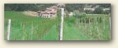 » Clicca per ingrandire -> » Clicca per ingrandire ->