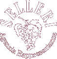 Logo Agenzia Selleri
